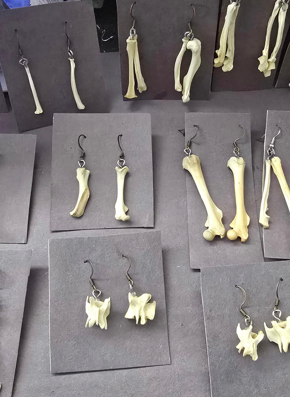 Mystery Bone Earrings- we choose your pair