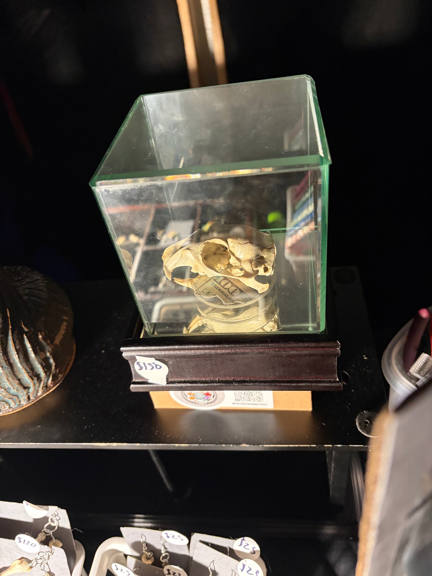 Varmint Skull