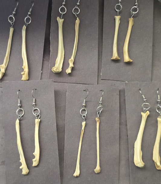 Mystery Bone Earrings- we choose your pair
